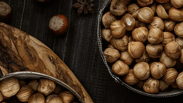 Ordu'da fındık fiyatları ne kadar?