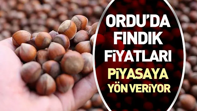 Ordu'da Fındık Fiyatları Piyasaya Yön Veriyor