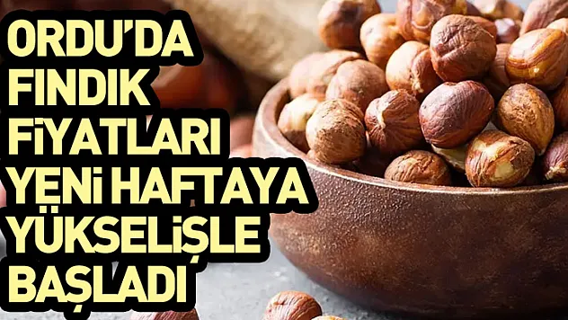 Ordu'da Fındık Fiyatları Yeni Haftaya Yükselişle Başladı