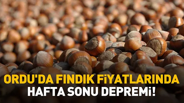 Ordu'da Fındık Fiyatlarında Hafta Sonu Depremi!
