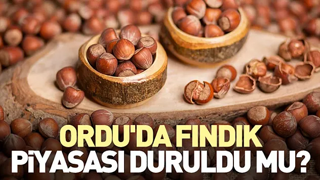 Ordu'da Fındık Piyasası Duruldu Mu?