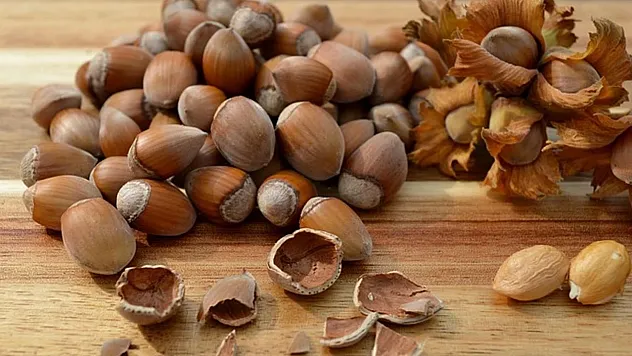 Ordu'da fındık piyasası hareketlendi