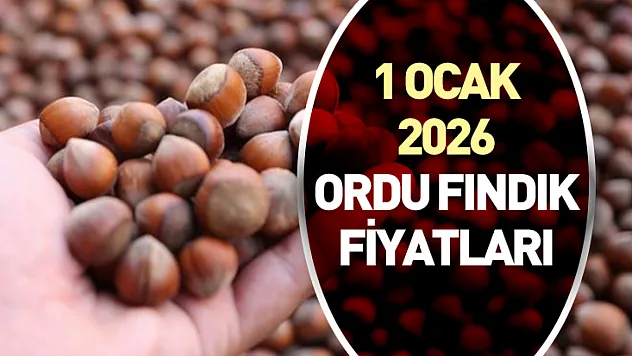 Ordu'da Fındık Yeni Yıla Güçlü Girdi – 1 Ocak 2026 Ordu Fındık Fiyatları