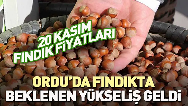 Ordu'da Fındıkta Beklenen Yükseliş Geldi