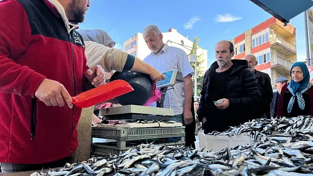 Ordu'da hamsi 25 liraya düştü
