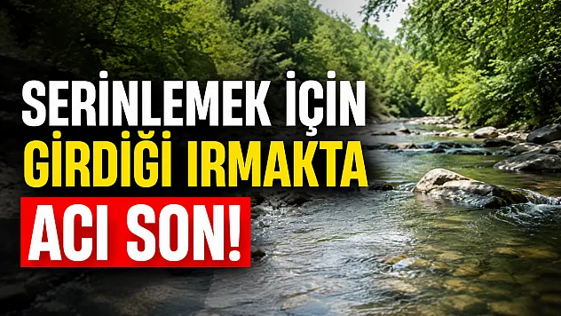 Ordu'da ırmağa giren 12 yaşındaki çocuk yaşam savaşını kaybetti
