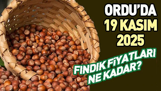 Ordu'da Serbest Piyasa Fındık Fiyatları