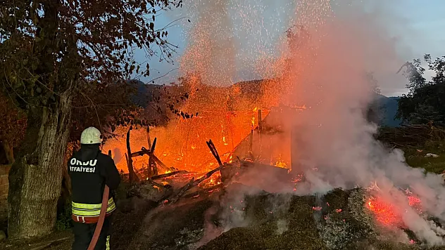 Ordu'da temizlik amacıyla yakılan fındık kabukları evi kül etti