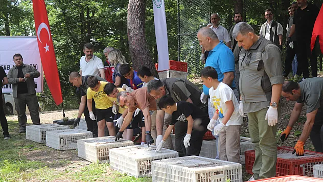 Ordu'da Zararlı Böceğe Karşı Biyolojik Hamle: 1600 Sülün Doğayla Buluştu