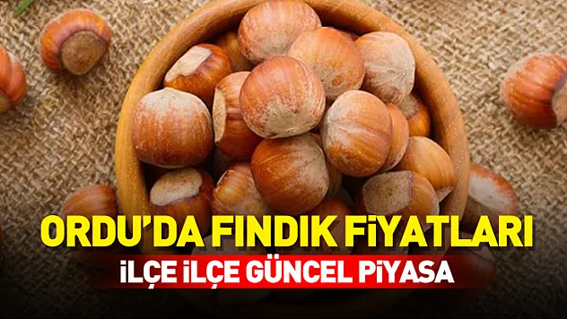 Ordu Fındık Fiyatları 22 Kasım 2025 | İlçe İlçe Güncel Piyasa