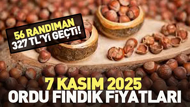 Ordu Fındık Fiyatları 7 Kasım 2025: 56 Randıman 327 TL'yi Geçti!