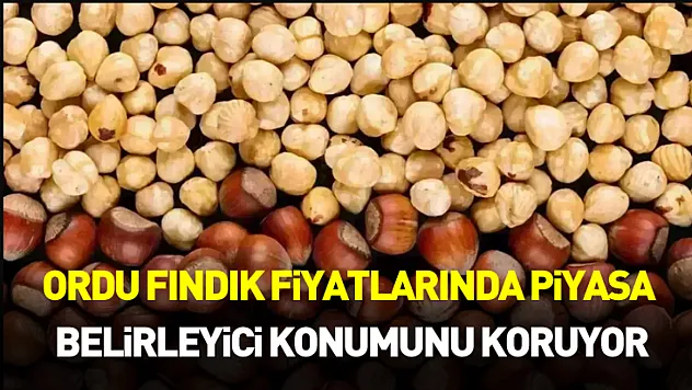 Ordu Fındık Fiyatlarında Piyasa Belirleyici Konumunu Koruyor