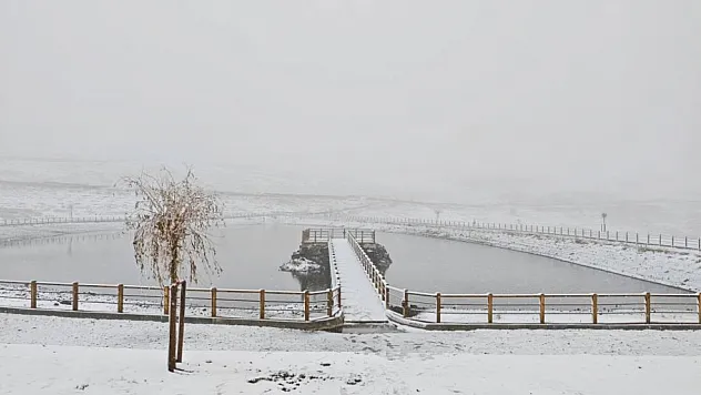 Ordu'nun Yaylaları beyaza büründü