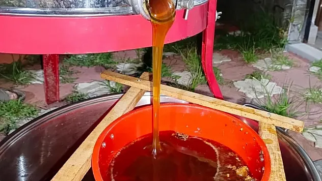 Ordulu arıcılar bal hasadına başladı