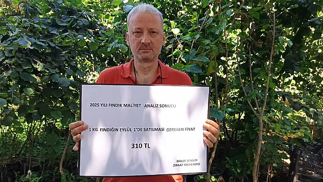 Ordulu Ziraat Mühendisinden fındığın maliyeti hesabı