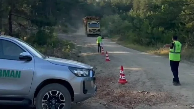 Orman kaçakçılığına karşı sıkı denetim