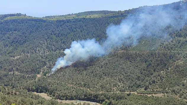 Orman Yangını Korkuttu: Ekipler Alevleri Kontrol Altına Aldı