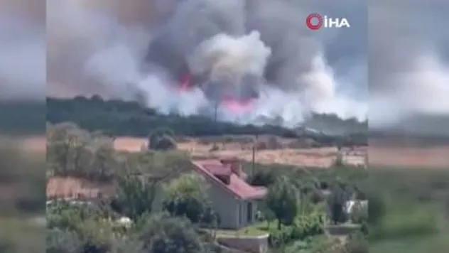 Orman yangınına çok sayıda müdahale