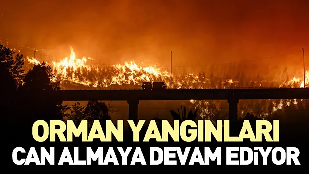 Orman Yangınları Can Almaya Devam Ediyor