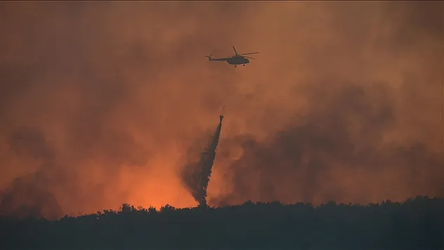 Orman yangınları kontrol altına alındı