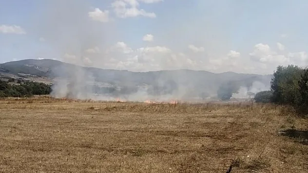 Ormana sıçramadan söndürüldü
