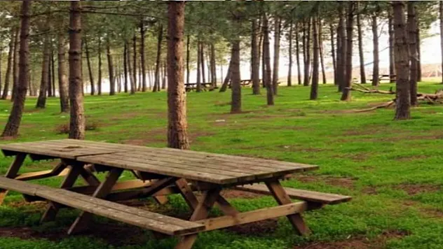 Ormanda piknik bir süre yasaklandı