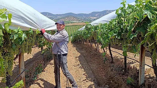 Örtücülerin sıcaklarla zorlu mesaisi