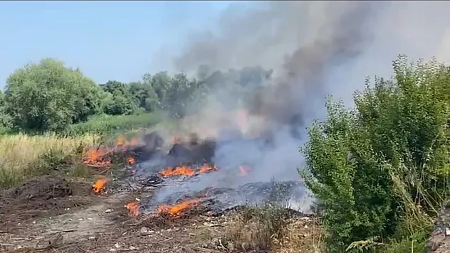 Ot yangını korkuttu