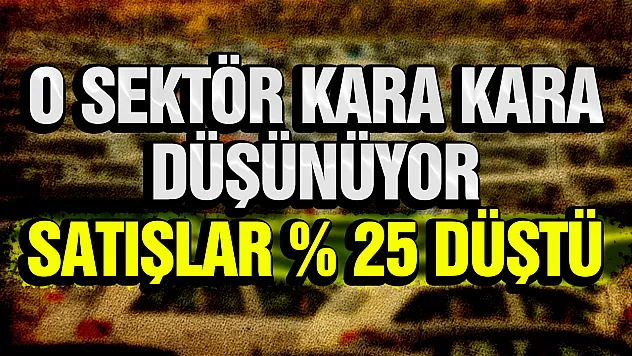 Otomotiv Sektöründe Sert Düşüş: Temmuz Satışları Yüzde 25 Geriledi
