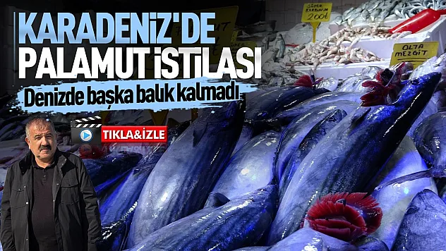 Palamut Karadeniz'i tüketmeden sofralara taşınmalı