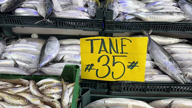 Palamut ucuzladı, strafor kasa fiyatı üçe katladı