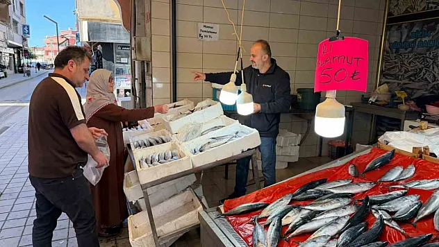 Palamutun tanesi 50 TL! Balık tezgâhlarında hareketlilik