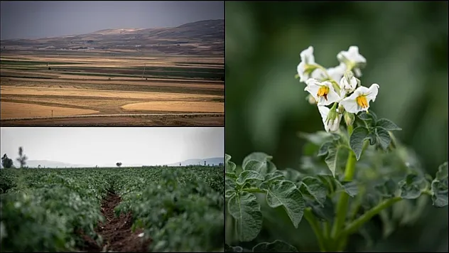 Pasinler Ovası'na 'can suyu' olacak