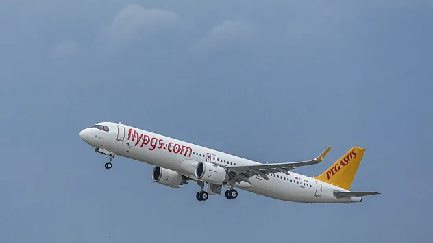 Pegasus 'Yılın İşvereni' seçildi