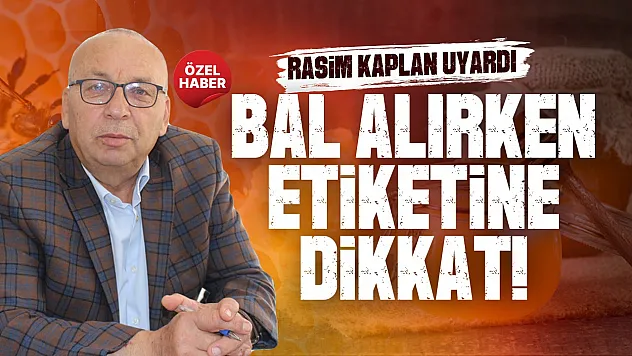 Rasim Kaplan, 'Denetim yetkisi bize de verilmeli'