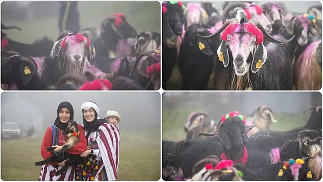 Rengarenk süsledikleri hayvanlarıyla göç etti