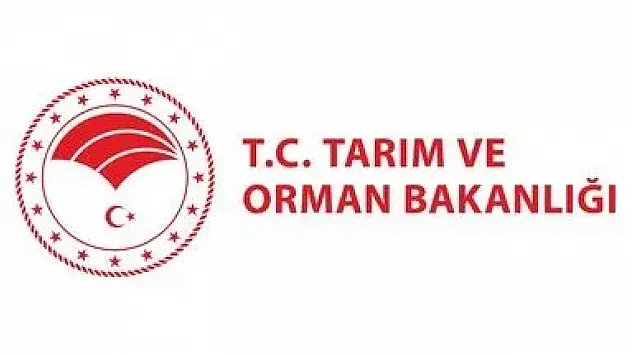 Restoran ve kafelerde yeni dönem: Evcil hayvan girişine yeni düzenleme geliyor