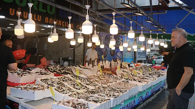 Rize'de balık bolluğu esnafın ve vatandaşın yüzünü güldürdü