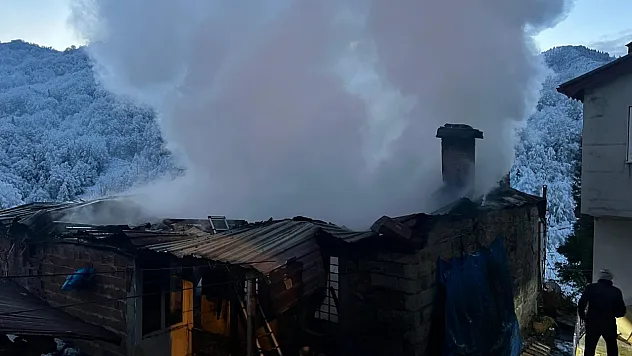 Rize'de çıkan yangında 2 ev kullanılamaz hale geldi
