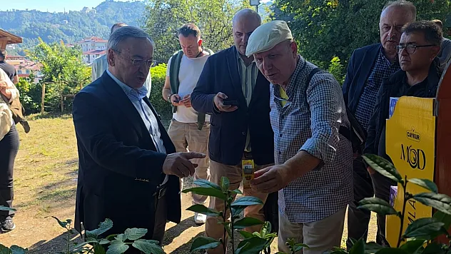 Rize gastronomisi sofradan sağlığa uzanıyor