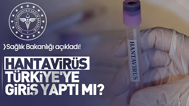 Sağlık Bakanlığı açıkladı! Hantavirüs Türkiye'ye giriş yaptı mı?