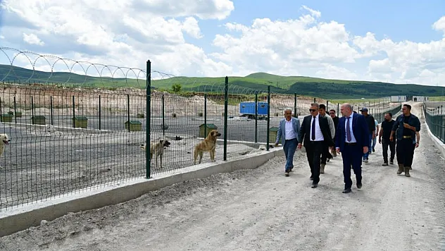 Sahipsiz hayvanlara yönelik önemli bir adım daha