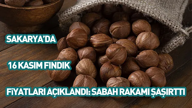 Sakarya'da 16 Kasım fındık fiyatları açıklandı: Sabah rakamı şaşırttı