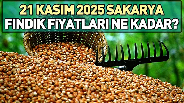 Sakarya'da 21 Kasım Fındık Fiyatları ne kadar?