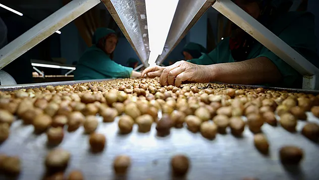 Sakarya'da 220 TL sınırı zorlanıyor