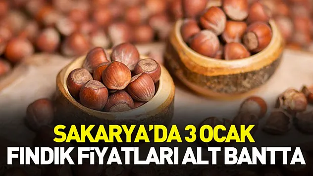 Sakarya'da 3 Ocak Fındık Fiyatları Alt Bantta