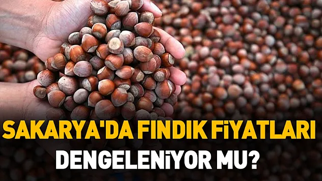 Sakarya'da Fındık Fiyatları Dengeleniyor Mu? 20 Ocak Güncel Liste