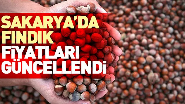 Sakarya'da Fındık Fiyatları Güncellendi