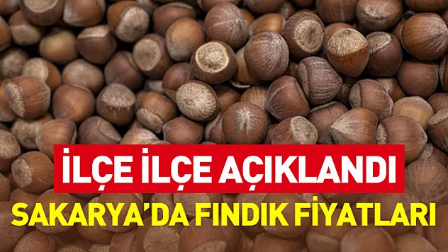 Sakarya'da Fındık Fiyatları İlçe İlçe Açıklandı