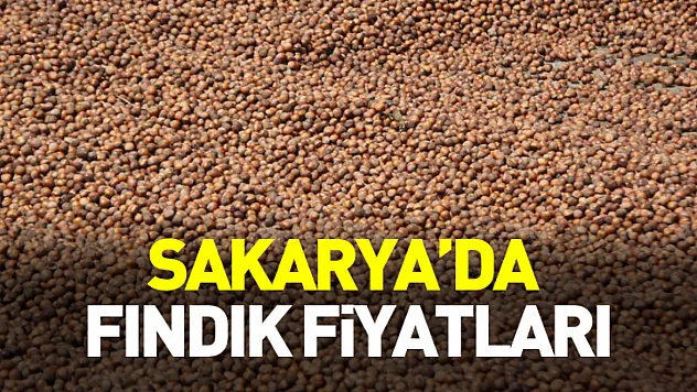 Sakarya'da Fındık Fiyatları-İlçe İlçe Dalgalamalar Mevcut